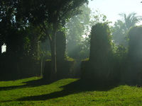 The ruins of a church cast shadows in smoky air.  Vivid green plants grow all around.