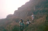 Walking down the terraces