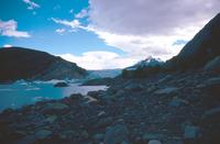 Grey Glacier