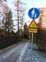 A path leads off into a wintry park.  To the right there is a pedestrians-only sign, with another sign warning of nearby beehives.