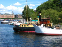 Old boats moored in front of trees.