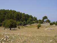 Fields near Boğazii